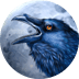 Raven’s Reveal